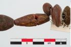 Foto von Perlenkette (NHMW-PRAE-023929)